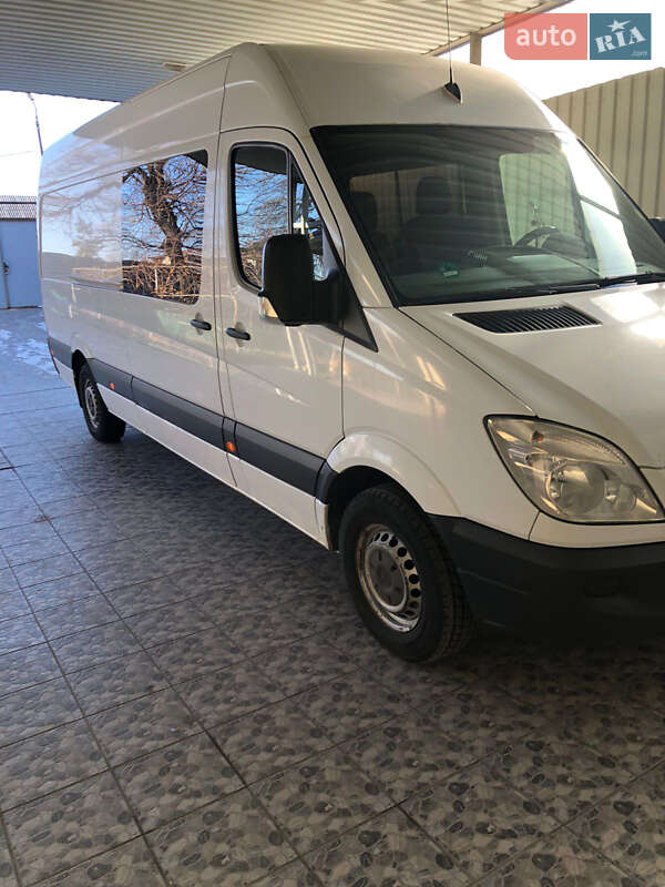 Мікроавтобус Mercedes-Benz Sprinter 2008 в Запоріжжі
