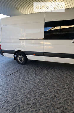 Микроавтобус Mercedes-Benz Sprinter 2008 в Запорожье