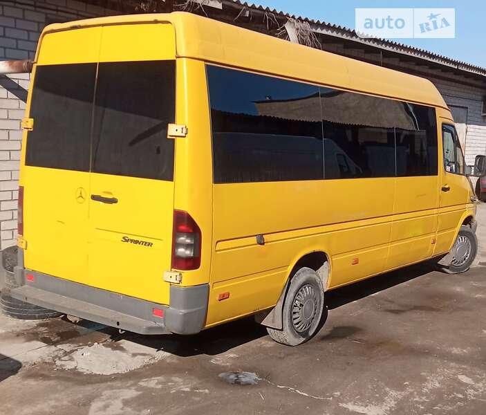 Микроавтобус Mercedes-Benz Sprinter 2003 в Николаеве