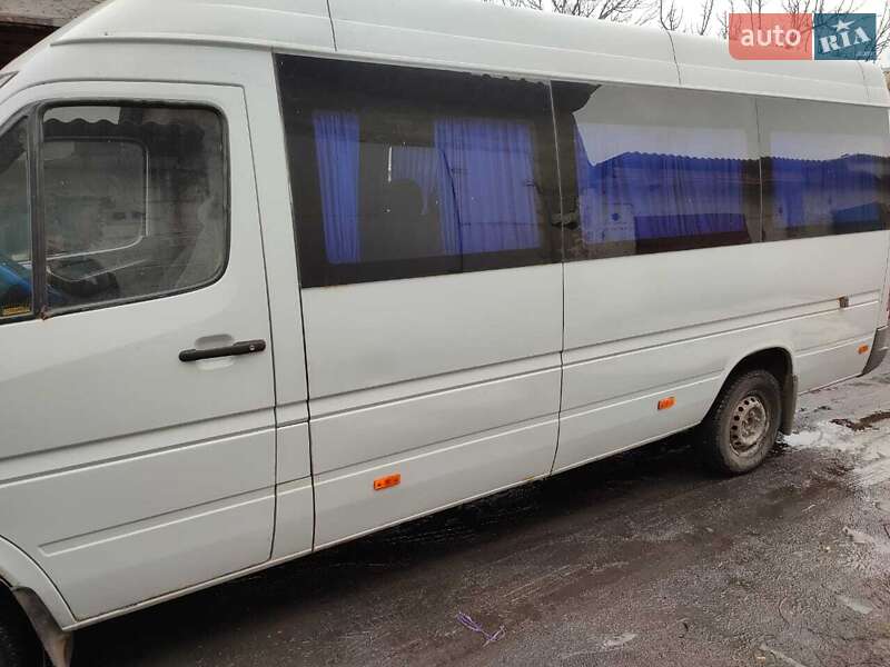 Микроавтобус Mercedes-Benz Sprinter 2002 в Доброполье