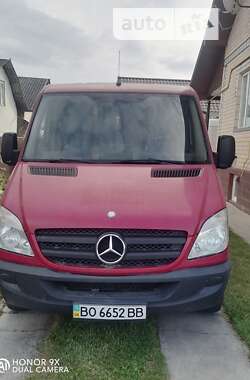 Мікроавтобус Mercedes-Benz Sprinter 2006 в 