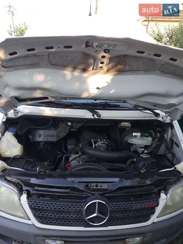 Мікроавтобус Mercedes-Benz Sprinter 2006 в Черкасах