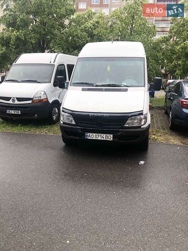 Микроавтобус Mercedes-Benz Sprinter 2004 в Ужгороде