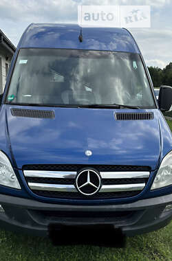 Вантажний фургон Mercedes-Benz Sprinter 2012 в Стрию