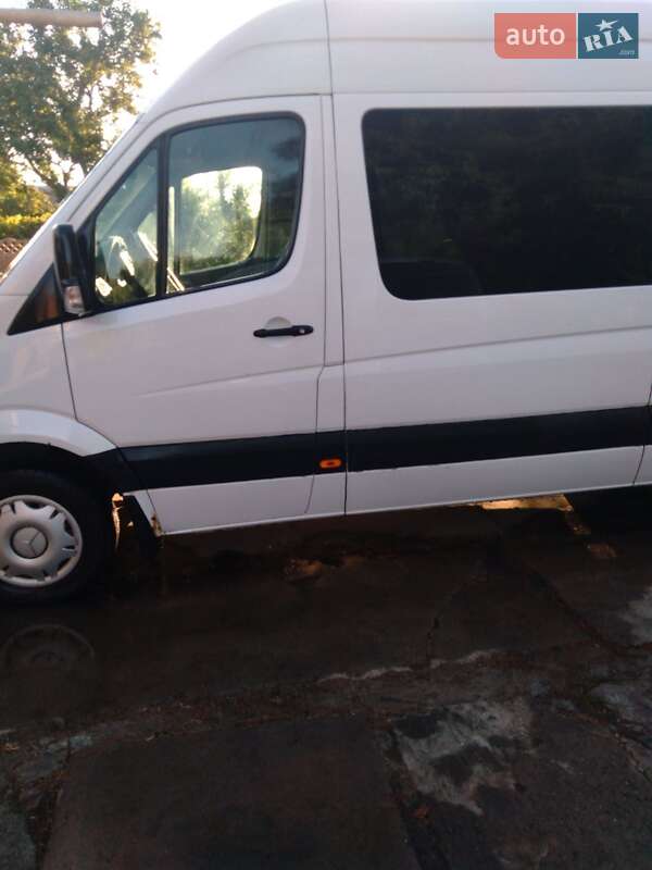 Інші автобуси Mercedes-Benz Sprinter 2008 в Кривому Розі