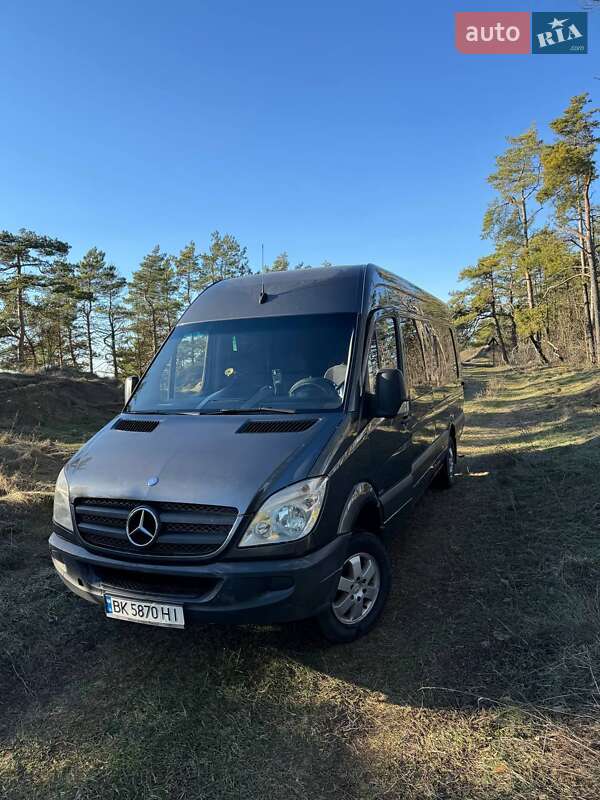 Mercedes-Benz Sprinter 2010