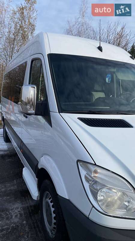 Микроавтобус Mercedes-Benz Sprinter 2010 в Кривом Роге фото 45 Микроавтобус Mercedes-Benz Sprinter 2010 в Кривом Роге