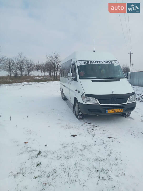 Інші автобуси Mercedes-Benz Sprinter 2001 в Миколаєві