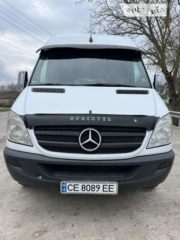 Грузопассажирский фургон Mercedes-Benz Sprinter 2008 в Новоднестровске