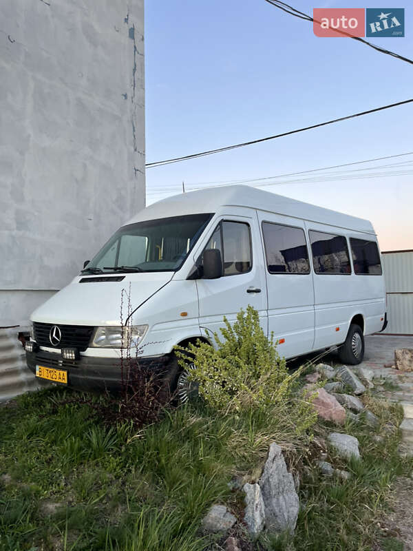 Микроавтобус Mercedes-Benz Sprinter 1999 в Кременчуге