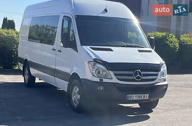 Грузопассажирский фургон Mercedes-Benz Sprinter 2013 в Тернополе