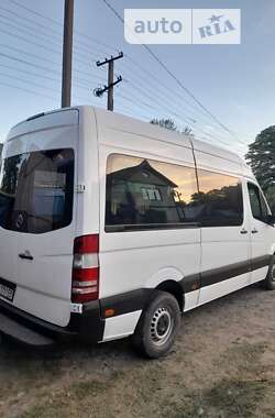 Мінівен Mercedes-Benz Sprinter 2007 в Чернівцях