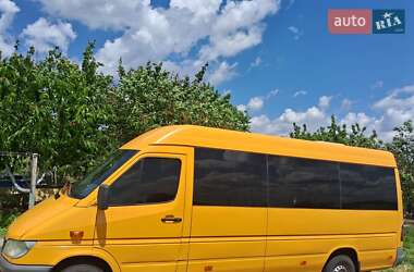 Микроавтобус Mercedes-Benz Sprinter 2000 в 