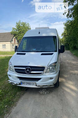 Грузовой фургон Mercedes-Benz Sprinter 2010 в Тернополе