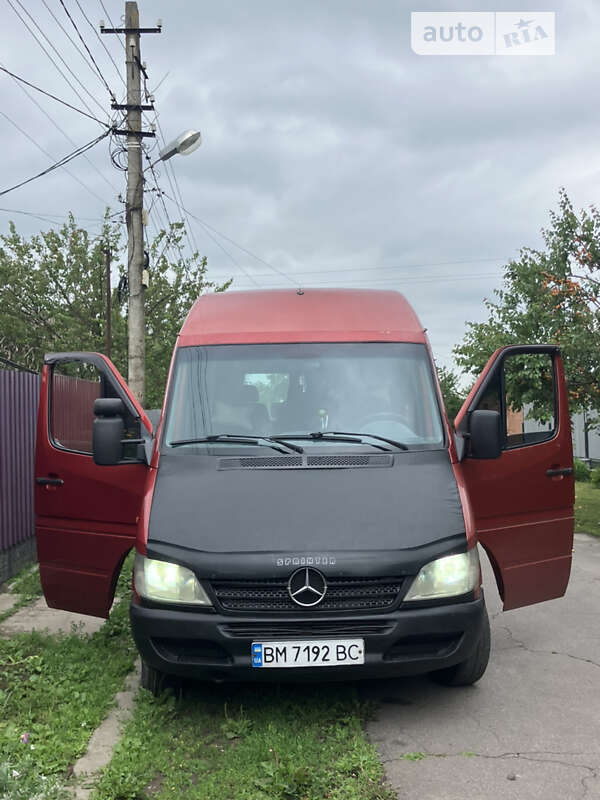 Микроавтобус Mercedes-Benz Sprinter 2001 в Полтаве