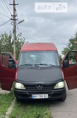 Микроавтобус Mercedes-Benz Sprinter 2001 в Полтаве