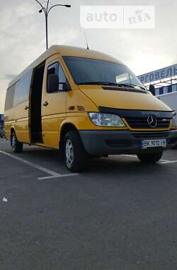 Микроавтобус Mercedes-Benz Sprinter 2002 в Глинном