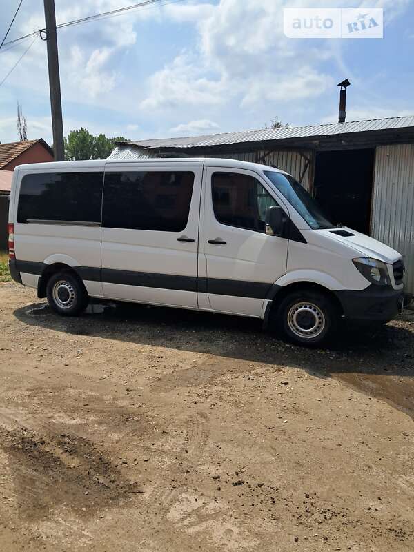 Мікроавтобус Mercedes-Benz Sprinter 2015 в Береговому