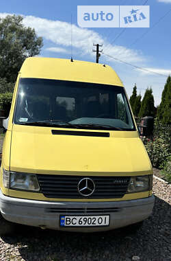 Мікроавтобус Mercedes-Benz Sprinter 1995 в Дрогобичі