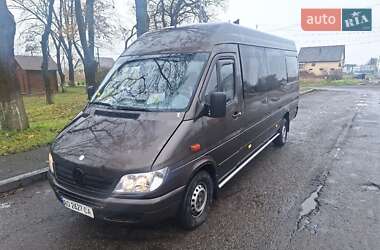 Микроавтобус Mercedes-Benz Sprinter 2004 в Ужгороде