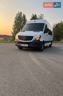 Микроавтобус Mercedes-Benz Sprinter 2017 в 