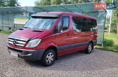 Микроавтобус Mercedes-Benz Sprinter 2007 в Первомайске