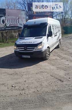 Микроавтобус Mercedes-Benz Sprinter 2010 в Тячеве