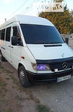 Мікроавтобус Mercedes-Benz Sprinter 1997 в Кам'янському