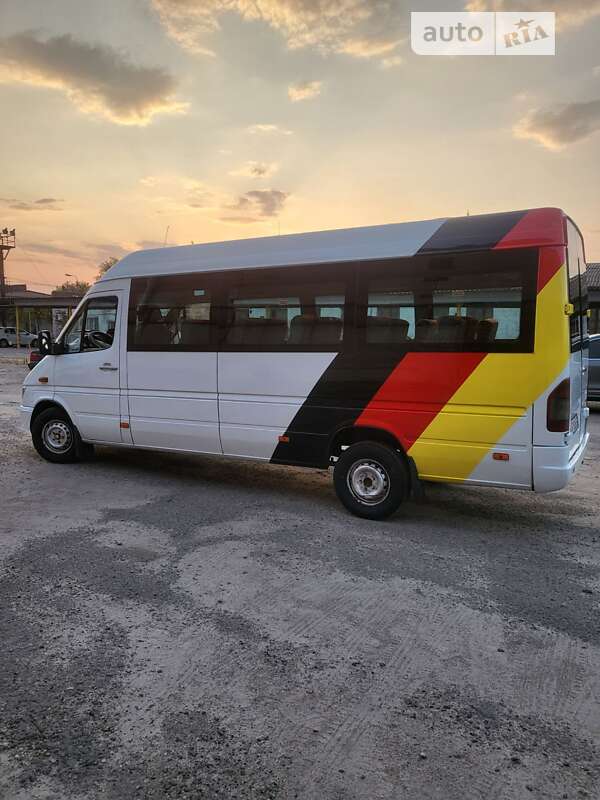 Микроавтобус Mercedes-Benz Sprinter 2006 в Запорожье