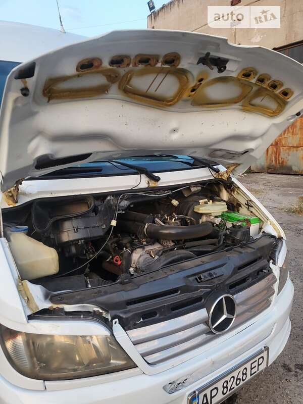 Микроавтобус Mercedes-Benz Sprinter 2006 в Запорожье