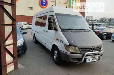 Грузопассажирский фургон Mercedes-Benz Sprinter 2004 в Киеве