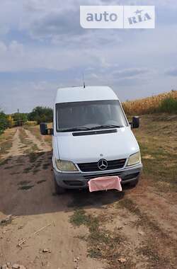 Мікроавтобус Mercedes-Benz Sprinter 2002 в Олександрії