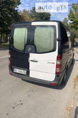 Микроавтобус Mercedes-Benz Sprinter 2006 в Львове