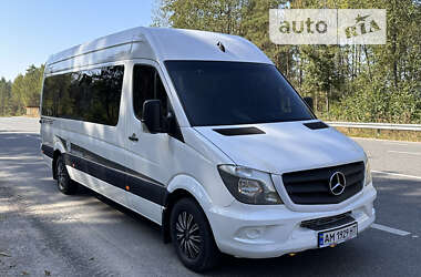 Мікроавтобус Mercedes-Benz Sprinter 2009 в Овручі