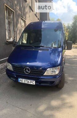 Микроавтобус Mercedes-Benz Sprinter 2006 в Кривом Роге