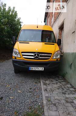 Інші автобуси Mercedes-Benz Sprinter 2011 в Новій Ушиці