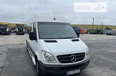 Минивэн Mercedes-Benz Sprinter 2011 в Тернополе