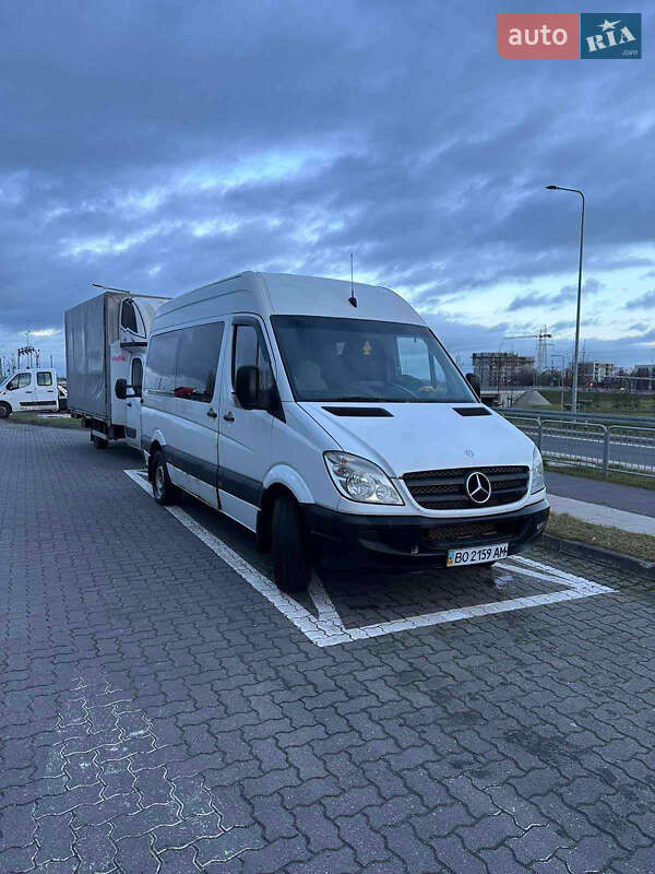 Микроавтобус Mercedes-Benz Sprinter 2009 в Борщеве