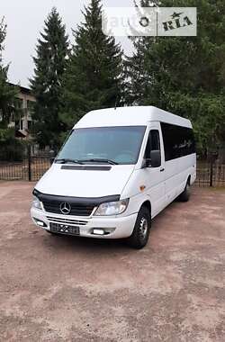 Мікроавтобус Mercedes-Benz Sprinter 2002 в Бердичеві