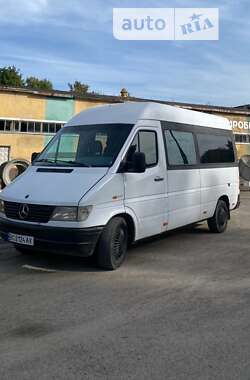 Грузопассажирский фургон Mercedes-Benz Sprinter 1995 в Львове