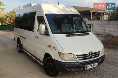 Микроавтобус Mercedes-Benz Sprinter 2001 в 
