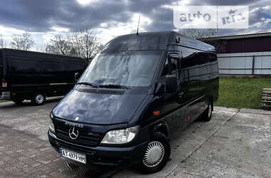 Мікроавтобус Mercedes-Benz Sprinter 2006 в Долині