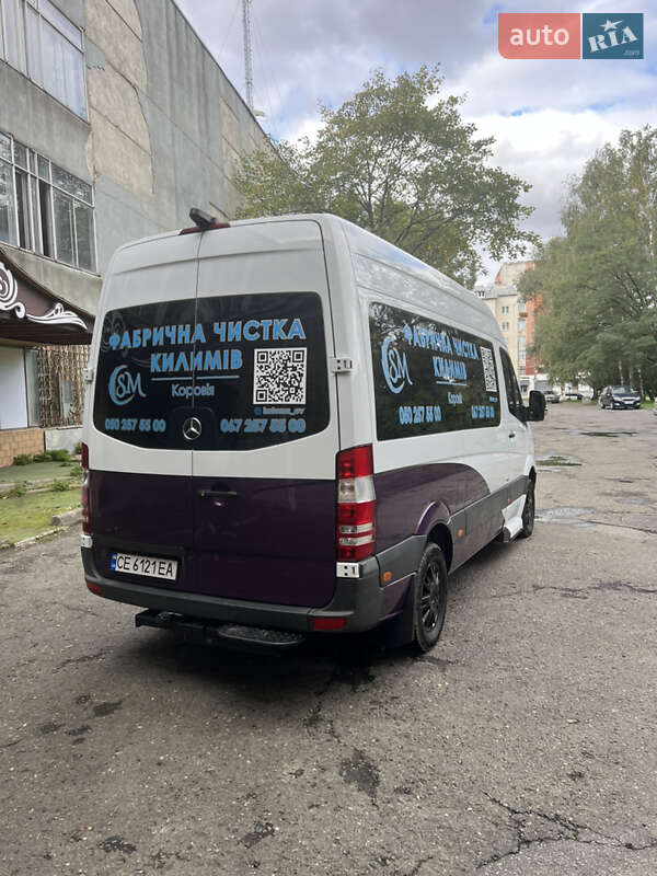 Микроавтобус Mercedes-Benz Sprinter 2012 в Черновцах