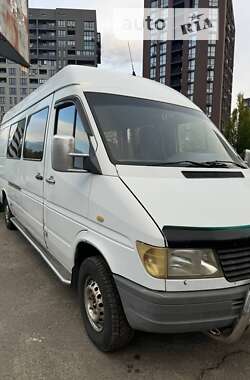 Грузопассажирский фургон Mercedes-Benz Sprinter 1999 в Каменском