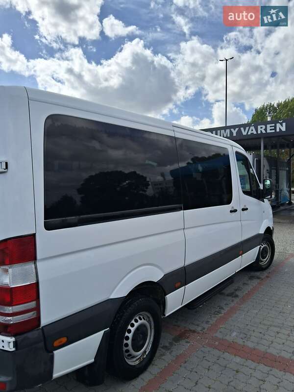 Микроавтобус Mercedes-Benz Sprinter 2012 в Ужгороде