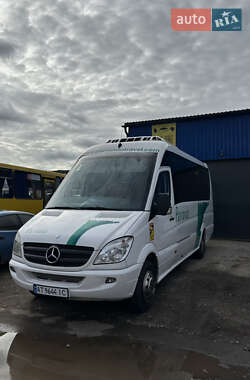 Микроавтобус Mercedes-Benz Sprinter 2010 в 