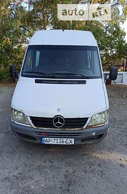 Грузопассажирский фургон Mercedes-Benz Sprinter 2005 в Запорожье