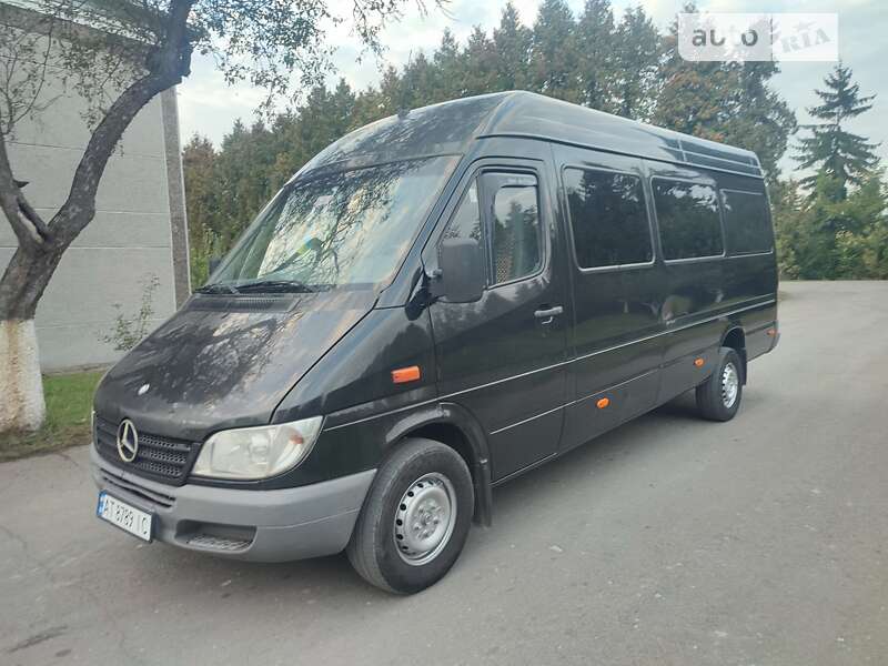 Грузопассажирский фургон Mercedes-Benz Sprinter 2005 в Городенке