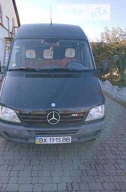 Грузопассажирский фургон Mercedes-Benz Sprinter 2005 в Теофиполе