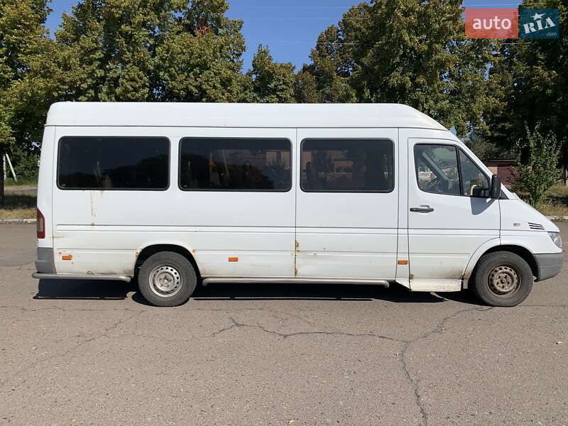 Микроавтобус Mercedes-Benz Sprinter 2006 в Чернигове